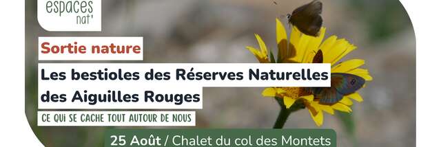 Sortie nature - Les bestioles des réserves naturelles des Aiguilles Rouges