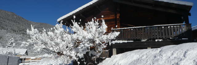 Chalet les Mouchillons