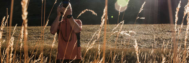 Exposition "rêveries ailées"