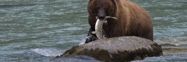 Exposition photo "Voyage aux 4 coins du monde"