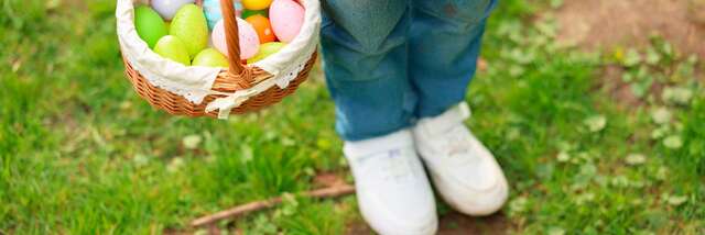 Grande chasse aux œufs
