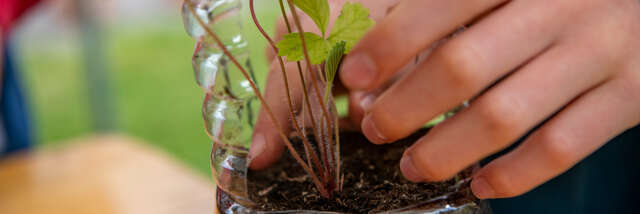 Atelier créatif : bonhomme gazon