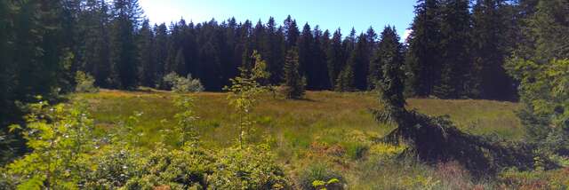 Lac des Saisies