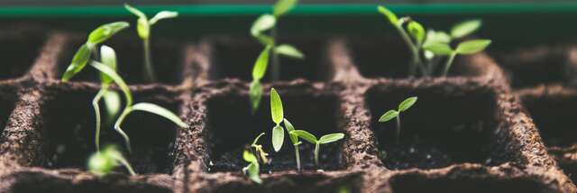 Lectures dans les serres horticoles