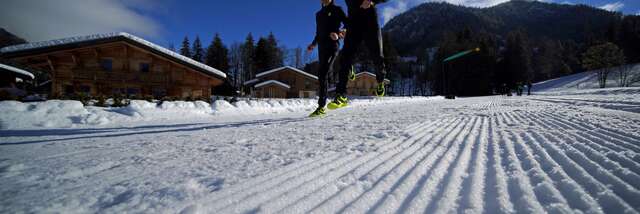 La Dragonale givrée - trail blanc