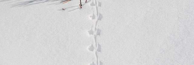 Qui suis je ? - Stand de la réserve naturelle au marché
