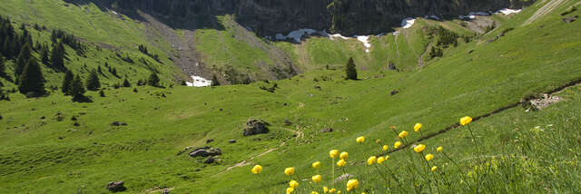 Randonnée à l'alpage de Graydon