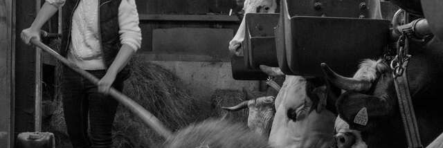 Visite à la ferme - Ferme des Cimes