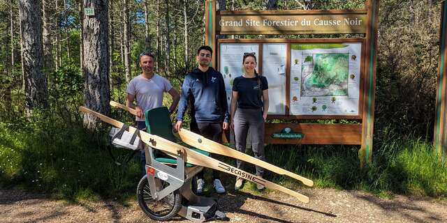 Balade dans la forêt du Cade en Bécasine