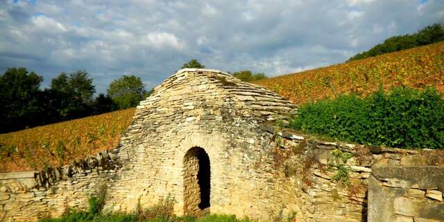 Circuit n° 3 Le Tour de la Butte de Corton