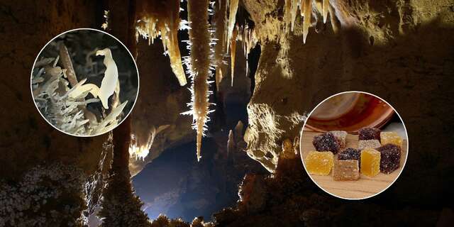 Février Gourmand à la grotte de Maxange