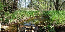 Le Marais de Bonnefont - VTT