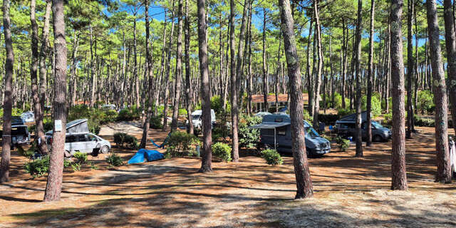 Camping Municipal du Cap de l'Homy