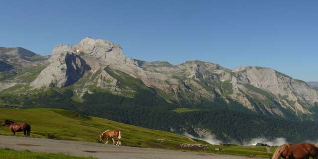 La descente Col d'Aubisque/Louvie-Soubiron