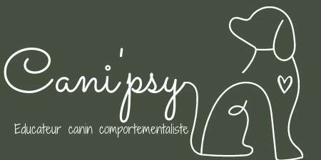 Dog Trainer – Cani'Psy