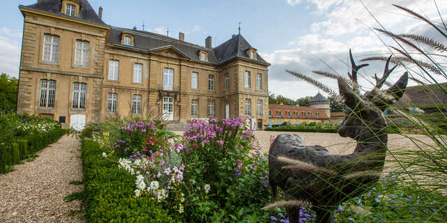 Meadow flower garden - chateau de la grange