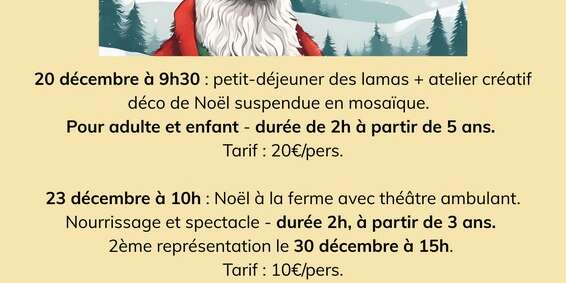 Noël chez Lama Emoi à Saint Aignan