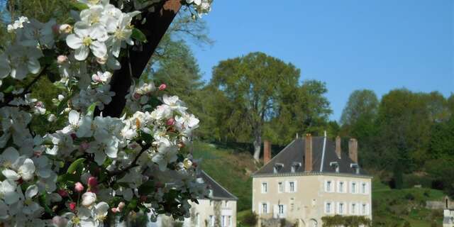 Plessis Sasnières gardens