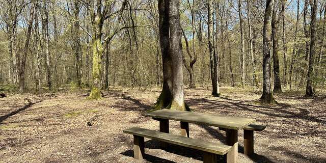 Aire de pique-nique du Bois de l'Huisserie