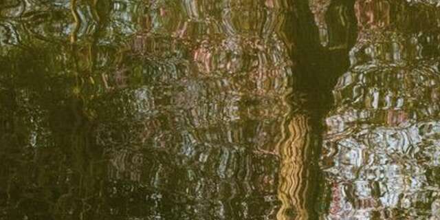 Exposition photographique d'Irene Doria - Impressions contemporaines