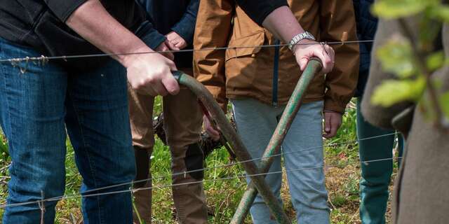 Parcours touche-à-tout