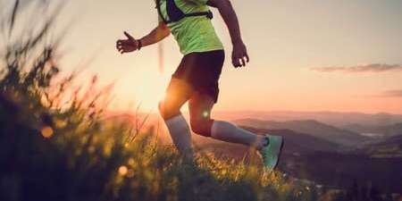 Trail des Châtaigniers