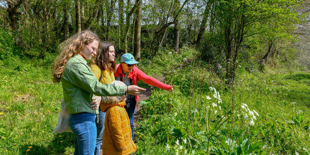 La vallée de l'Oiselière
