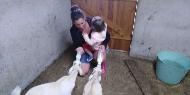 Chèvrerie du Pont Urgin