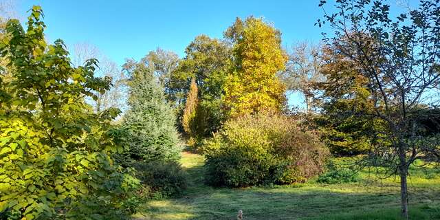 Arboretum du Lys