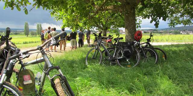Balades Oenologiques à vélo 