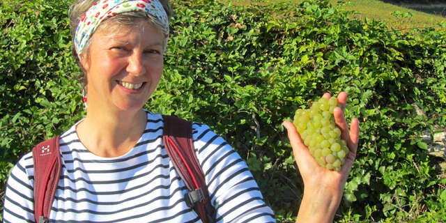 Visite guidée du vignoble de la Côte de Beaune