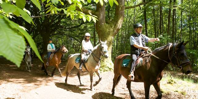 FERME EQUESTRE LE GRAND CHEMIN