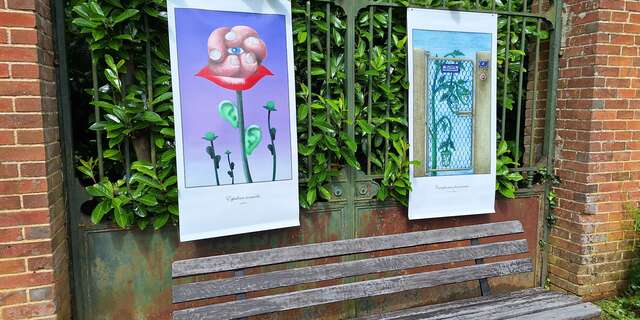 LES PLANTES IMPROBABLES ET MERVEILLEUSES
