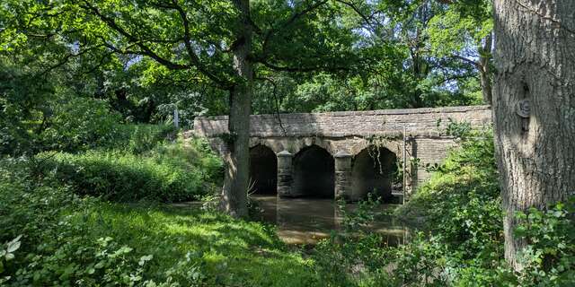 LE BOIS DE LA CHOLTIERE