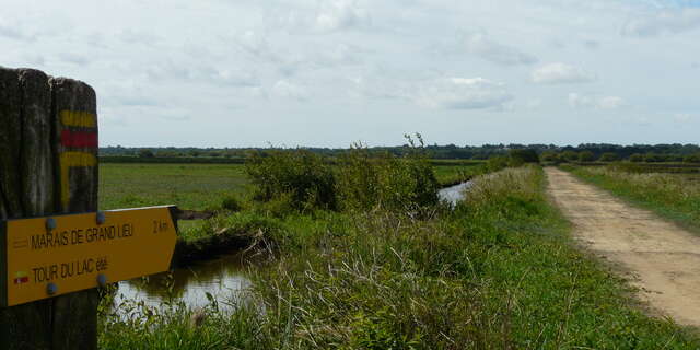 MARAIS DE GRANDLIEU