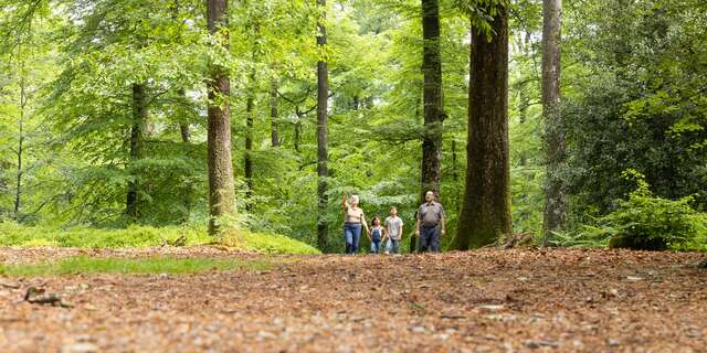 "Les 3 villages" (17km) and "Le Séquoia"(8km) hiking trails