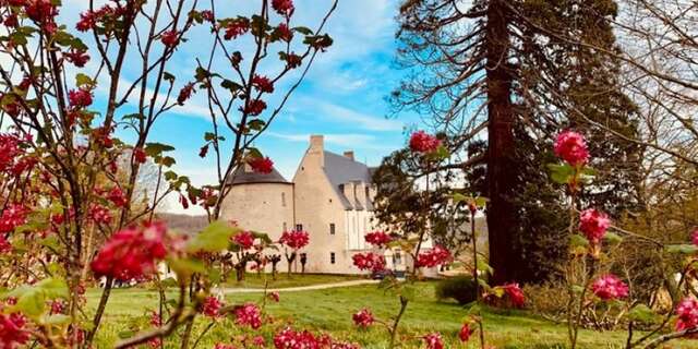 Château du Chambon