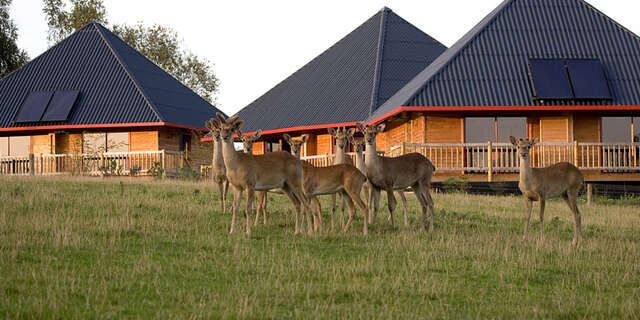 Les Safari Lodges - Parc Zoologique Cerza