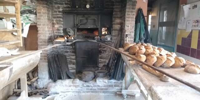 Apprendre à faire son pain au feu de bois chez les CO-Pains