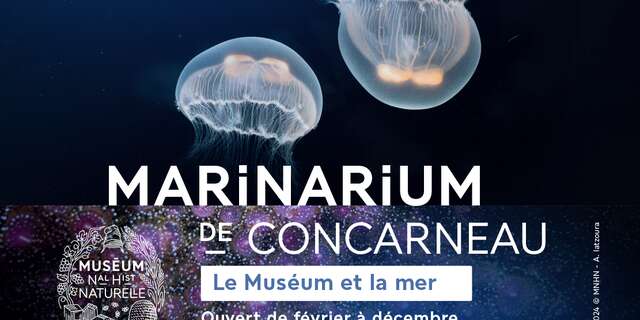 Le Marinarium