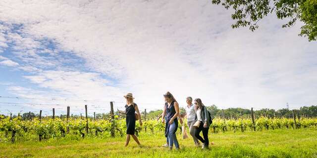 Domaine Nicolas Paget
