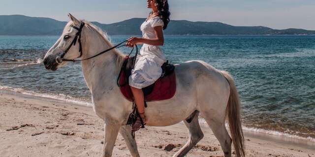 CENTRE EQUESTRE ECURIES LE GOLFE