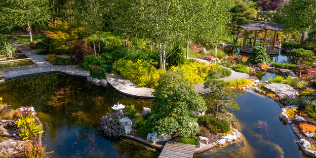 Le jardin aquatique d'Acorus