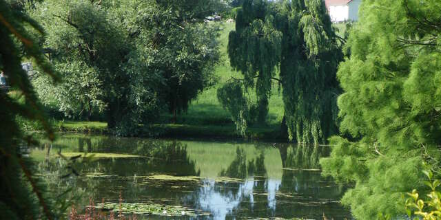 Le parc de l'etang