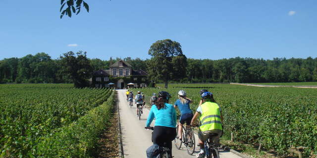 Location vélo : Bourgogne Evasion Beaune by Active Tours