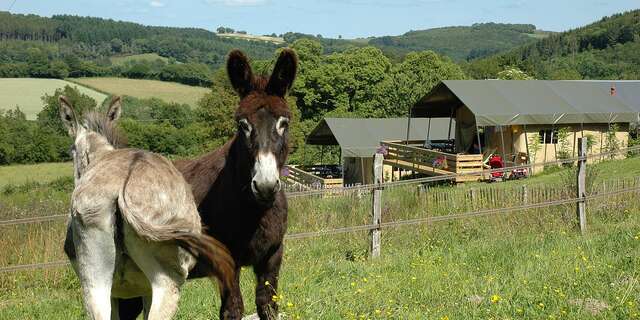 Camping à la Ferme "Morvan Rustique"