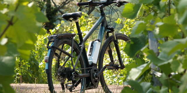 Expérience En selle pour les terroirs de Santenay - Château de La Crée