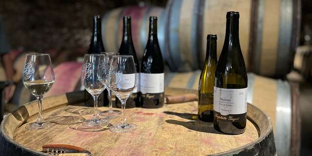Domaine Baptiste GUYOT : Découverte de nos vins et des caves