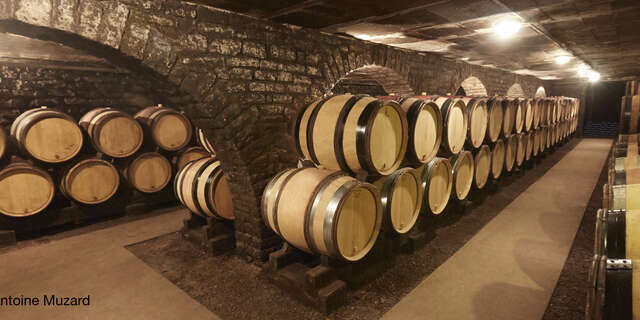Domaine Besancenot