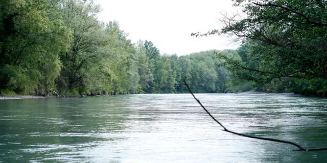 Les bords de l'Arve - De Gaillard à Arthaz
